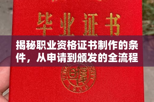 东兰揭秘职业资格证书制作的条件，从申请到颁发的全流程解析
