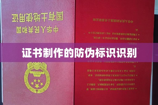 东兰证书制作的防伪标识识别