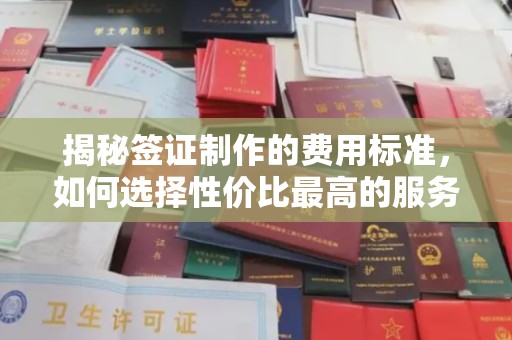 东兰揭秘签证制作的费用标准，如何选择性价比最高的服务？