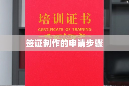东兰签证制作的申请步骤