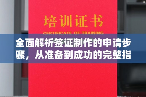 东兰全面解析签证制作的申请步骤，从准备到成功的完整指南