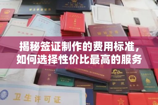 东兰揭秘签证制作的费用标准，如何选择性价比最高的服务？