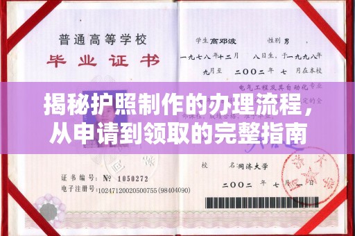 东兰揭秘护照制作的办理流程，从申请到领取的完整指南