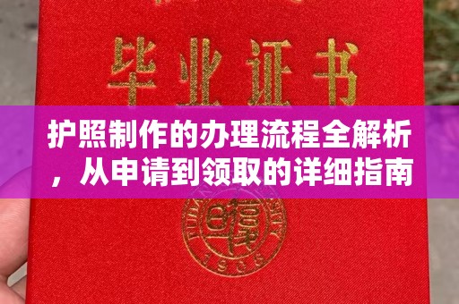 东兰护照制作的办理流程全解析，从申请到领取的详细指南
