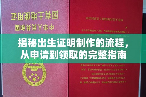 东兰揭秘出生证明制作的流程，从申请到领取的完整指南
