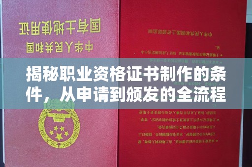 东兰揭秘职业资格证书制作的条件，从申请到颁发的全流程解析