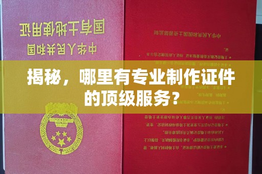 东兰揭秘，哪里有专业制作证件的顶级服务？